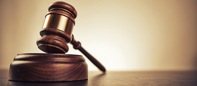 Postupanje u krivičnim predmetima u oblasti javnih nabavki